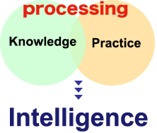 Knowledge X Practice = Intelligence